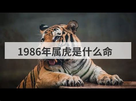 1986 屬虎